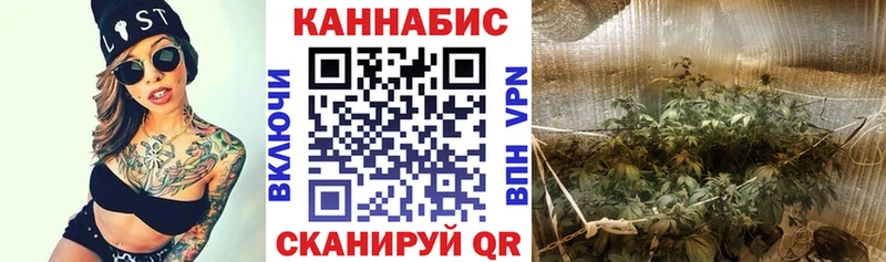 hydra ССЫЛКА  Александровское  Канабис SATIVA & INDICA 